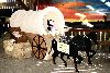 Covered Wagon