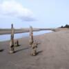 Bayshore Beach 2