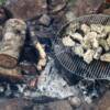 Cookin' Oysters